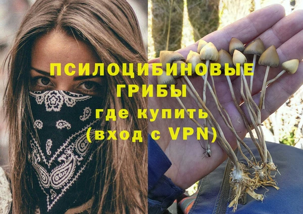 apvp Богородицк